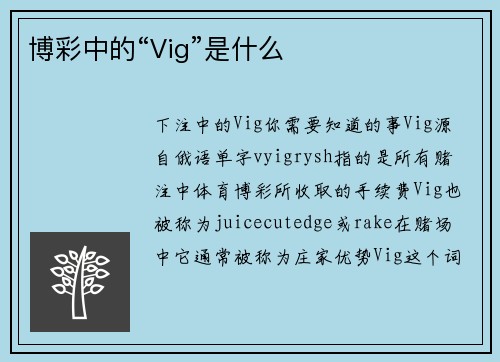 博彩中的“Vig”是什么 